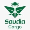 وظائف الخطوط السعودية للشحن بمجال المحاسبة بجدة